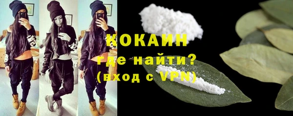 гашик Осинники