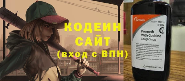 индика Гвардейск