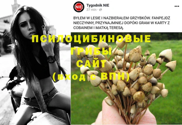 гашик Осинники