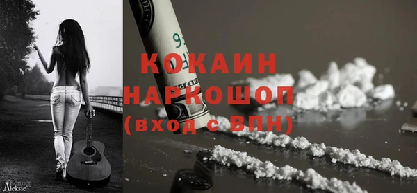 гашик Осинники