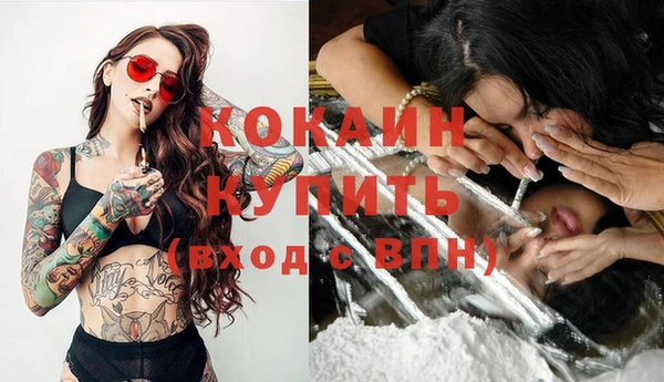 гашик Осинники