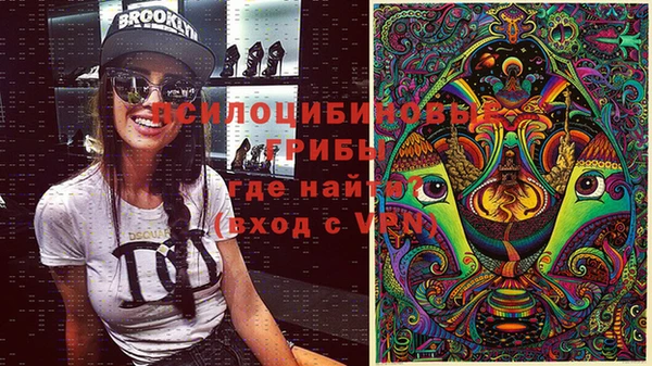 мет Пестово