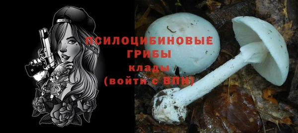 гашик Осинники