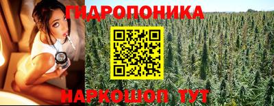 эйфоретик Гатчина