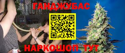 стафф Малгобек