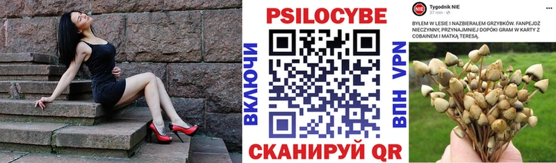 Галлюциногенные грибы Psilocybe  купить наркотики цена  Тобольск 