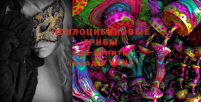 Псилоцибиновые грибы Magic Shrooms  купить   Тобольск 