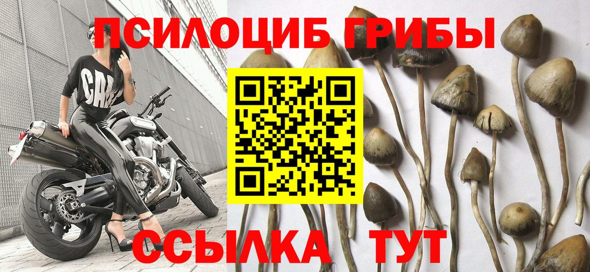 Тобольск  Галлюциногенные грибы ЛСД  Вход с VPN  цены наркотик  Галлюциногенные грибы ЛСД 