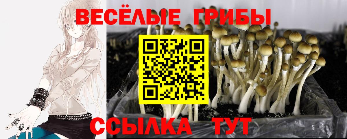 Галлюциногенные грибы Magic Shrooms  Тобольск 